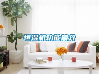 知识百科恒湿机功能简介
