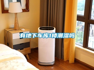 企业动态有地下车库1楼潮湿吗