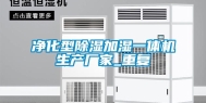 净化型除湿加湿一体机生产厂家_重复
