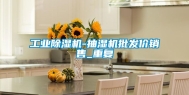 工业除湿机-抽湿机批发价销售_重复