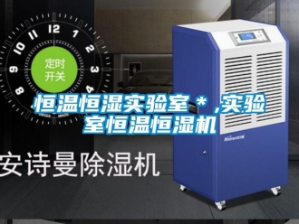 知识百科恒温恒湿实验室＊,实验室恒温恒湿机