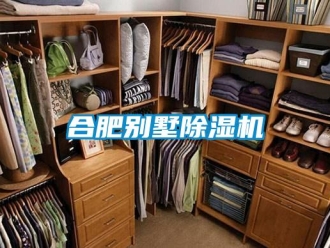 行业资讯合肥别墅除湿机