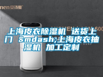 行业资讯上海皮衣除湿机 送货上门 &mdash;上海皮衣抽湿机 加工定制