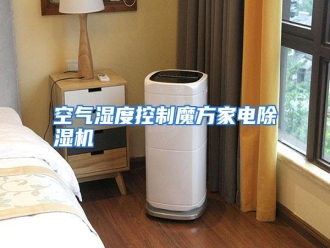 行业资讯空气湿度控制魔方家电除湿机