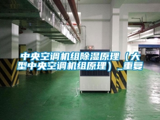 行业资讯中央空调机组除湿原理（大型中央空调机组原理）_重复