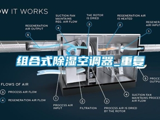 行业资讯组合式除湿空调器_重复