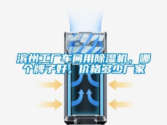 企业动态滨州工厂车间用除湿机，哪个牌子好，价格多少厂家