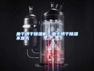 常见问题鱼干烘干除湿机，鱼干烘干除湿不靠天