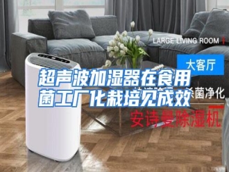 知识百科超声波加湿器在食用菌工厂化栽培见成效