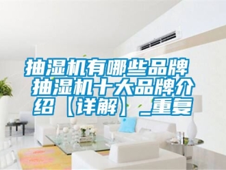企业动态抽湿机有哪些品牌 抽湿机十大品牌介绍【详解】_重复