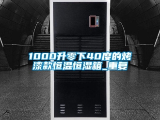 常见问题1000升零下40度的烤漆款恒温恒湿箱_重复