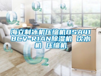 行业资讯海立制冰机压缩机BSA418CV-R1AN除湿机 饮水机 压缩机