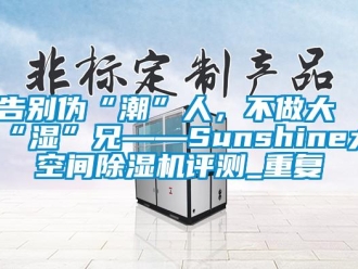 行业资讯告别伪“潮”人，不做大“湿”兄——Sunshine大空间除湿机评测_重复