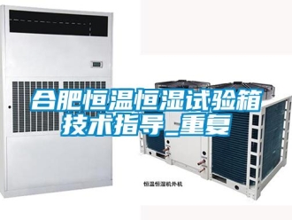 知识百科合肥恒温恒湿试验箱技术指导_重复