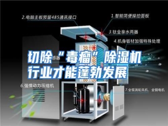行业资讯切除“毒瘤”除湿机行业才能蓬勃发展