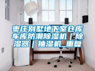 企业动态枣庄别墅地下室仓库车库防潮除湿机｜除湿器｜抽湿机_重复
