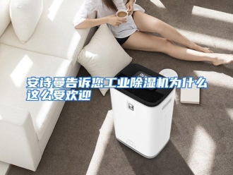 常见问题安诗曼告诉您工业除湿机为什么这么受欢迎