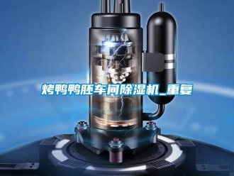 企业动态烤鸭鸭胚车间除湿机_重复