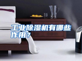 常见问题工业除湿机有哪些作用？