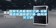医院手术室净化空调-安徽霖达恒温恒湿空调-宿州净化空调