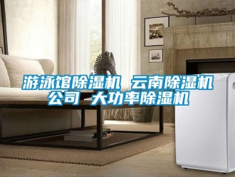 行业资讯游泳馆除湿机 云南除湿机公司 大功率除湿机