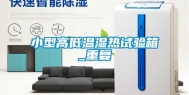 小型高低温湿热试验箱_重复