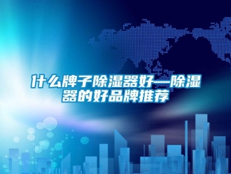 行业资讯什么牌子除湿器好—除湿器的好品牌推荐