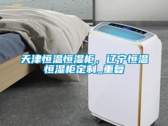 知识百科天津恒温恒湿柜，辽宁恒温恒湿柜定制_重复