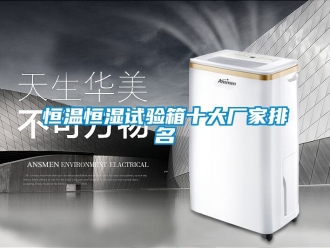 知识百科恒温恒湿试验箱十大厂家排名