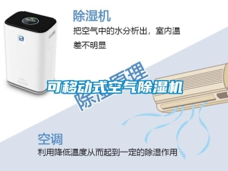 行业资讯可移动式空气除湿机