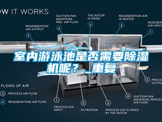 行业资讯室内游泳池是否需要除湿机呢？_重复