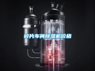 企业动态碎片车间除湿机价格
