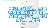 工业型除湿机，深圳除湿机DH-8380C，免费送货上门，货到付款。_重复