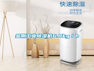 行业资讯金刚工业除湿机6.8kg／h