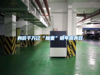 行业资讯身价千万辽“釉壶”明年露真容