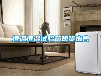 知识百科恒温恒湿试验箱现货出售