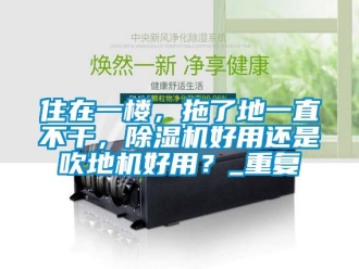 行业资讯住在一楼，拖了地一直不干，除湿机好用还是吹地机好用？_重复
