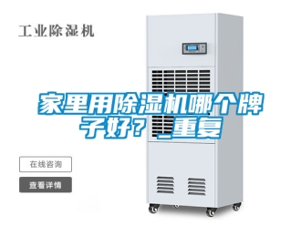行业资讯家里用除湿机哪个牌子好？_重复