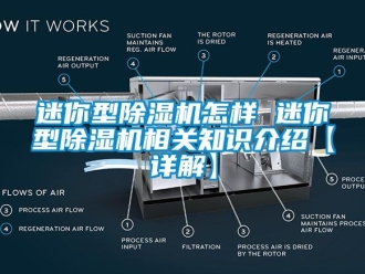 行业资讯迷你型除湿机怎样 迷你型除湿机相关知识介绍【详解】
