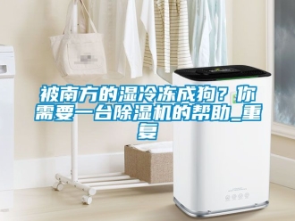 企业动态被南方的湿冷冻成狗？你需要一台除湿机的帮助_重复