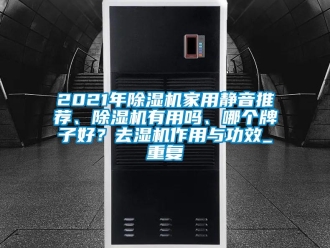 常见问题2021年除湿机家用静音推荐、除湿机有用吗、哪个牌子好？去湿机作用与功效_重复