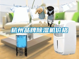 企业动态杭州品牌除湿机价格