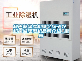 企业动态超声波除湿机哪个牌子好 超声波除湿机品牌介绍_重复