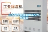 山东工业除湿机山东空气除湿机