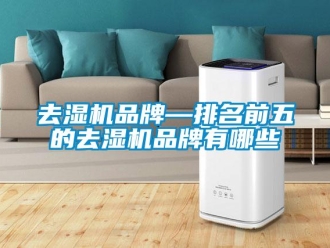 行业资讯去湿机品牌—排名前五的去湿机品牌有哪些