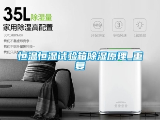 知识百科恒温恒湿试验箱除湿原理_重复