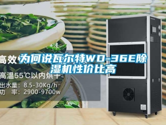 行业资讯为何说瓦尔特WD-36E除湿机性价比高