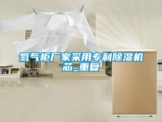 企业动态氮气柜厂家采用专利除湿机芯_重复