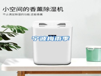 行业资讯宁波梅雨季