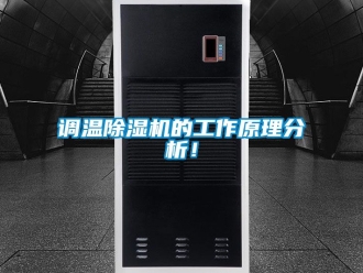 行业资讯调温除湿机的工作原理分析！